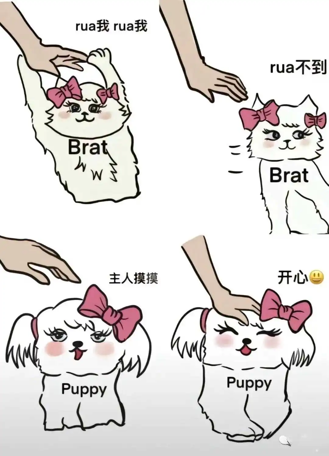 西檬之家BDSM新手指南SSC原则与入门必备知识 一