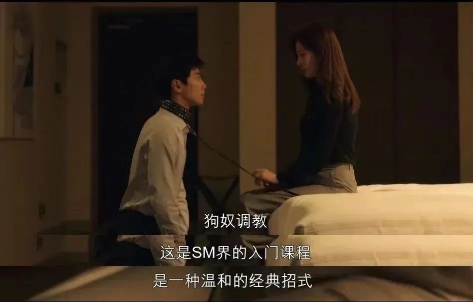 西檬之家s倾向是什么意思? 一