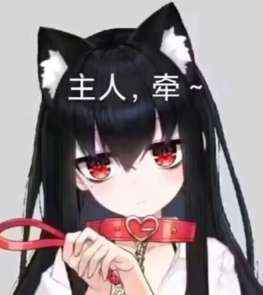 西檬之家k9是什么?字母圈宠物扮演入圈指南 一
