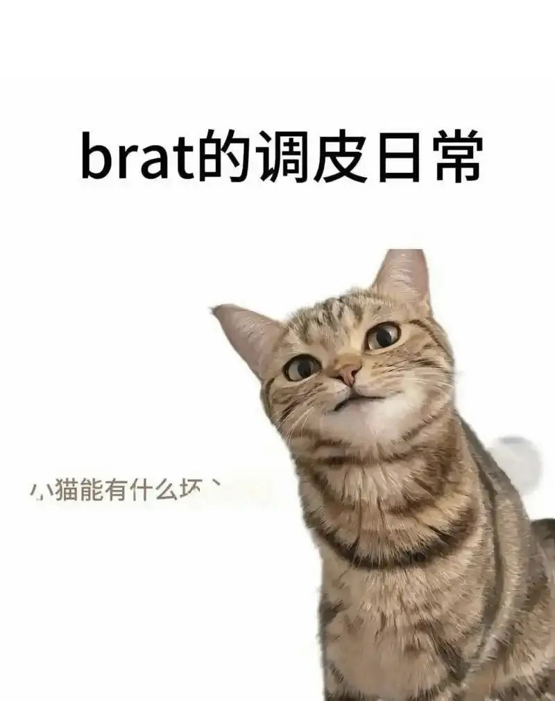 西檬之家女王属性是什么?字母圈新人入圈 一