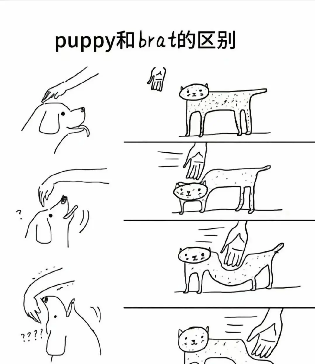 西檬之家字母圈m倾向是什么意思？ 一