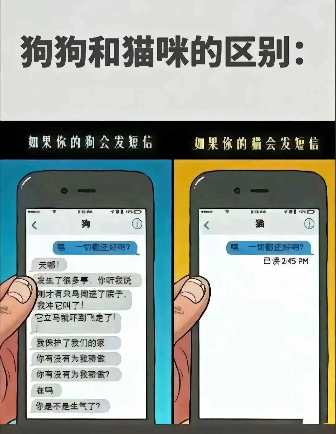 西檬之家字母圈SP是什么？ 一