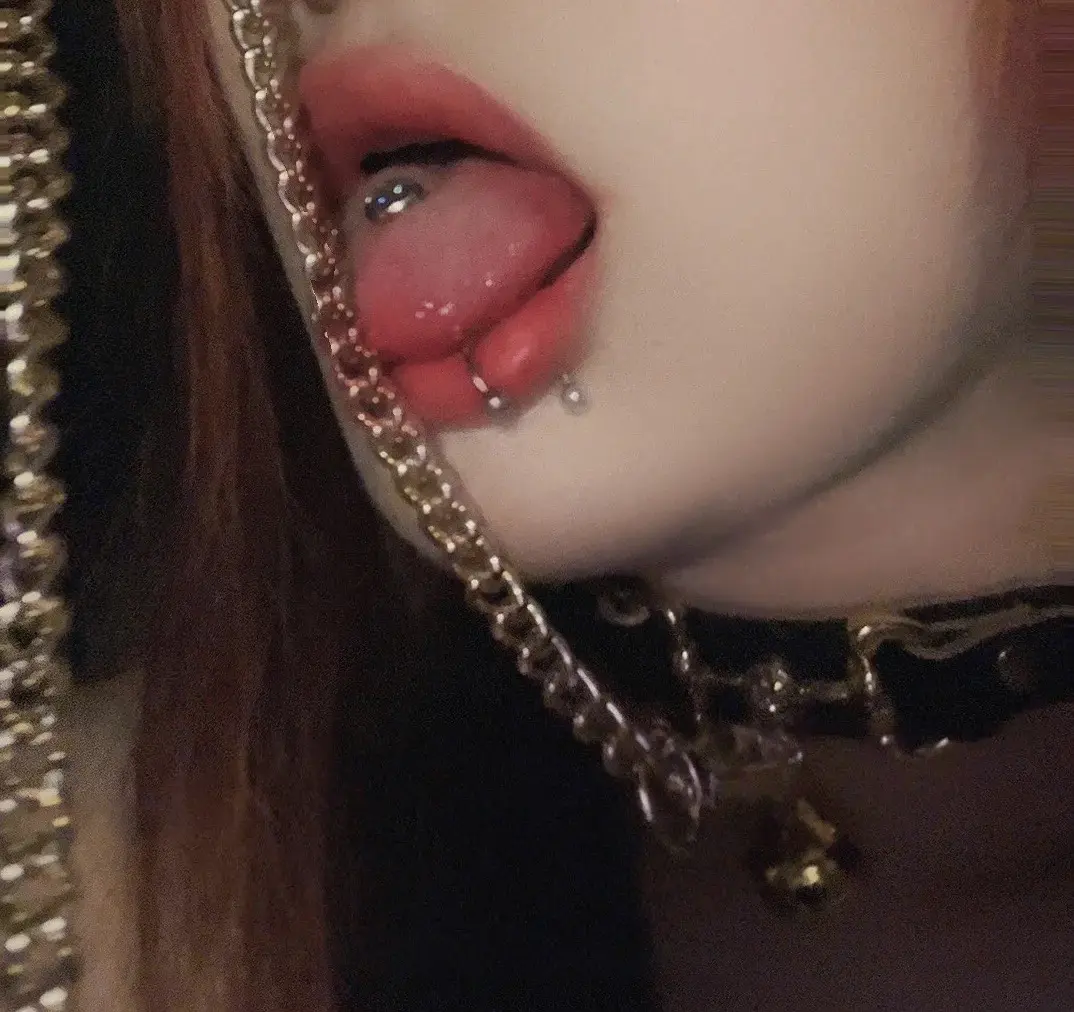 西檬之家k9犬系是什么? 一