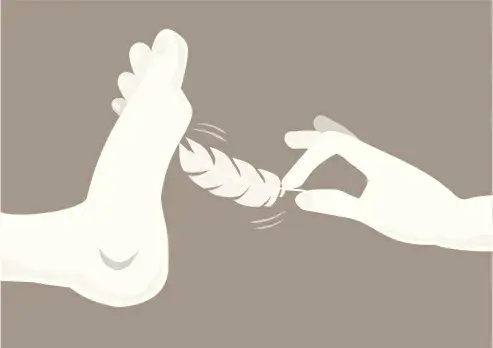 西檬之家字母圈s属性是什么? 一