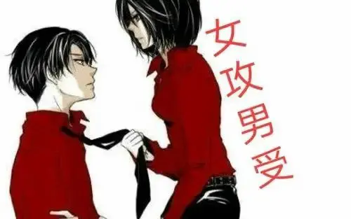 西檬之家DS关系是什么意思? 一