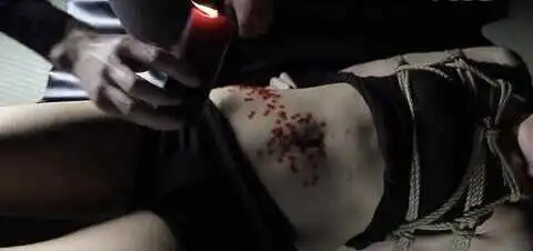 西檬之家DS关系是什么? 一