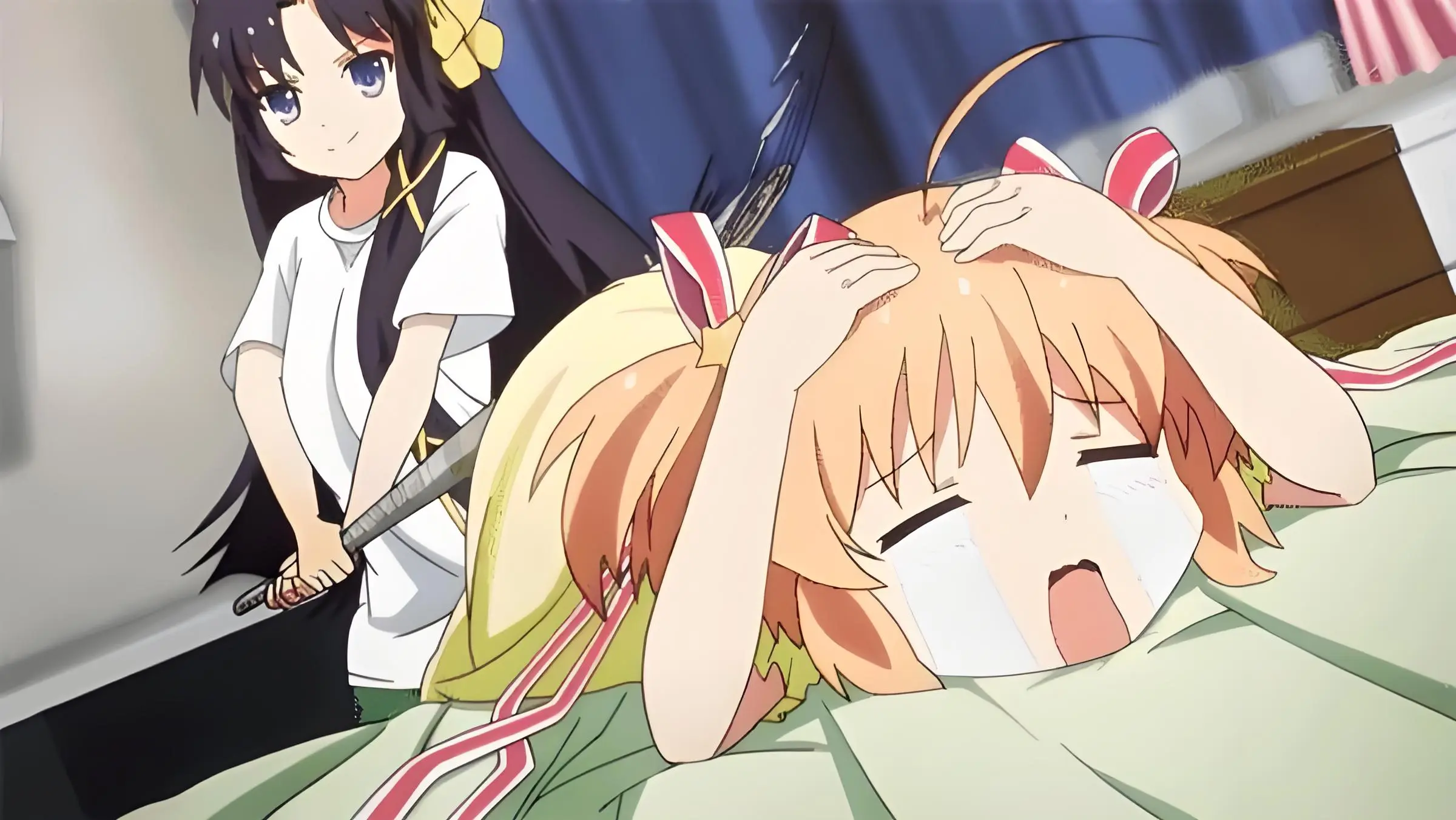西檬之家DS关系入门指南 一