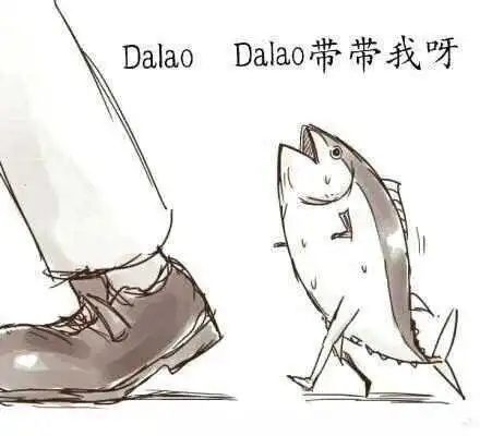 西檬之家K8猫系什么意思？字母圈属性解析 一