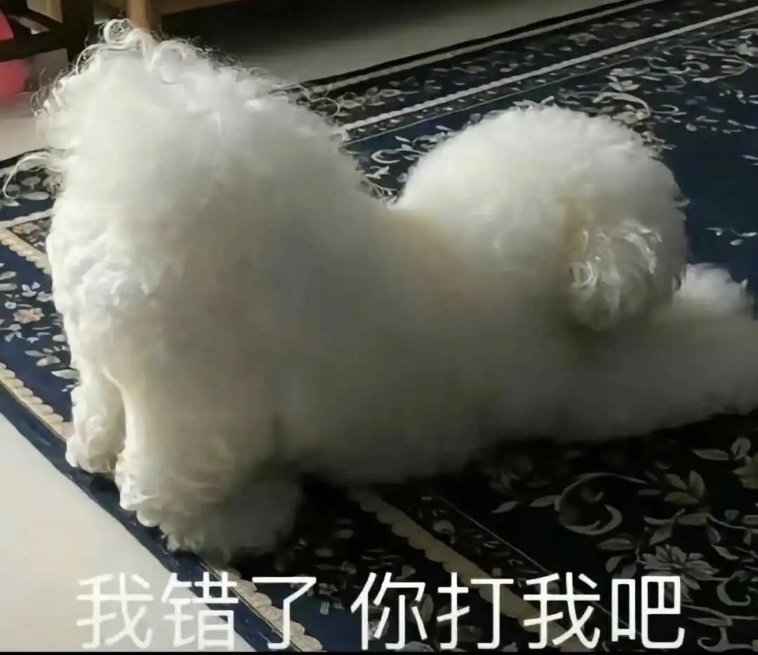 西檬之家K8是什么?字母圈K8角色解析 一