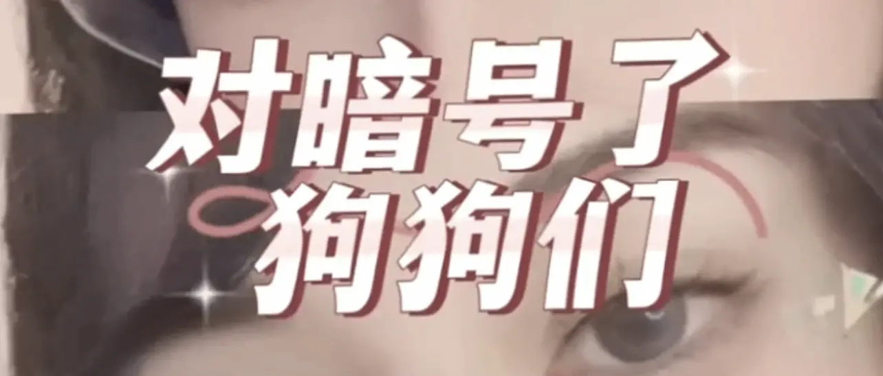 西檬之家Brat属性是什么意思？字母圈新人入圈 一