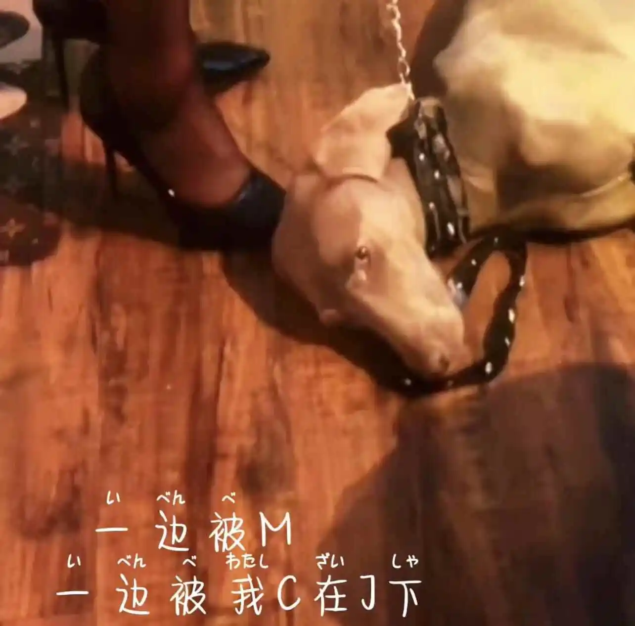 西檬之家字母圈Sp是什么意思 一